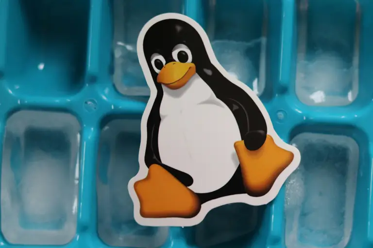 Linux has a 1.52% share, popular in server environments and among users who value customization and open-source software.
