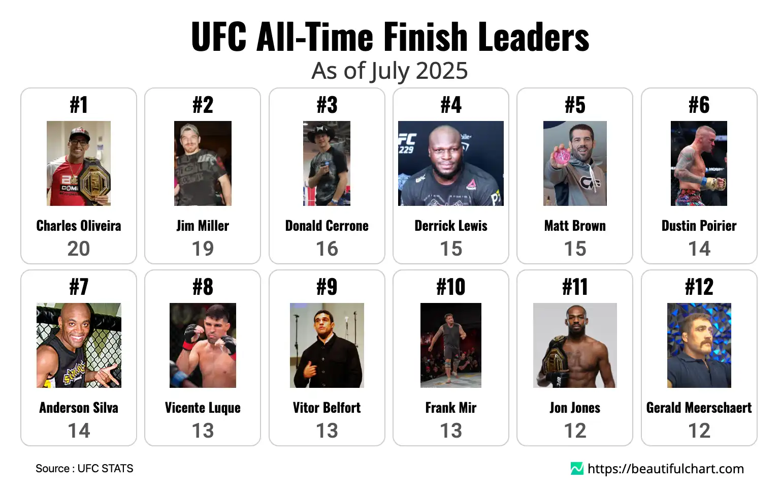 UFC All-Time Finish Leaders