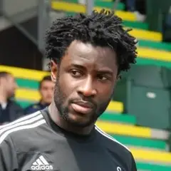 Wilfried Bony (2013).JPG