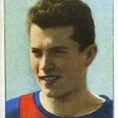 Cesarino Cervellati.jpg