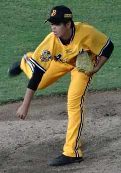 杜家明 2015總冠軍賽第二戰.jpg