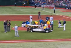 Alex Cobb 2013 injury.JPG