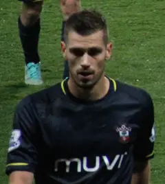 Morgan Schneiderlin 2.jpg