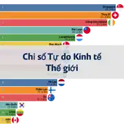 Bài viết trước