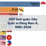 Bài viết trước