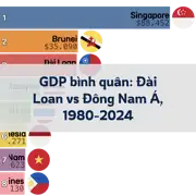 Bài viết trước