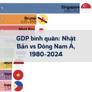 Bài viết tiếp theo