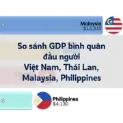 Bài viết tiếp theo