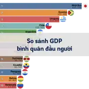 Bài viết trước