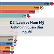 Bài viết trước