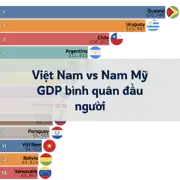 Bài viết trước