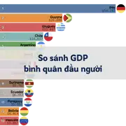 Bài viết trước