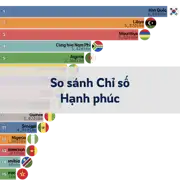Bài viết tiếp theo
