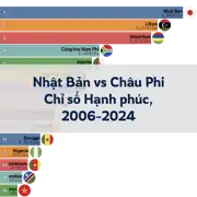 Bài viết tiếp theo