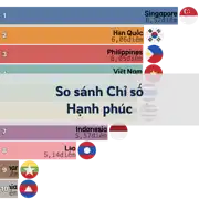 Bài viết trước
