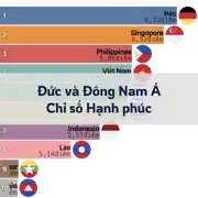 Bài viết tiếp theo