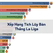Bài viết tiếp theo