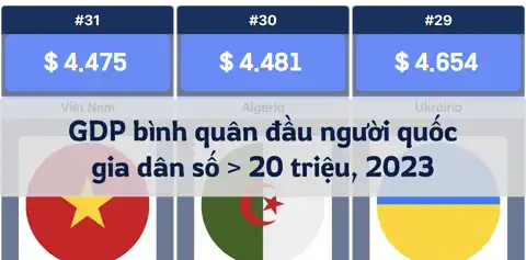 Bài viết tiếp theo