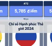 Bài viết tiếp theo