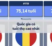 Bài viết trước