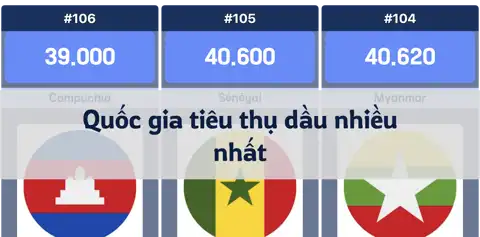 Bài viết tiếp theo