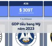 Bài viết tiếp theo