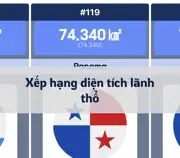 Bài viết tiếp theo