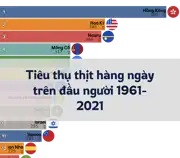 Bài viết trước