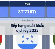 Bài viết tiếp theo