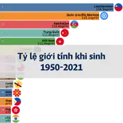 Bài viết trước