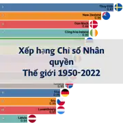 Bài viết trước