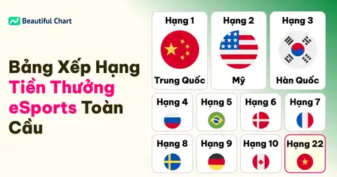 Bài viết tiếp theo