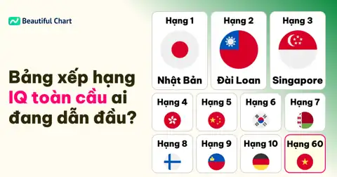Bài viết tiếp theo
