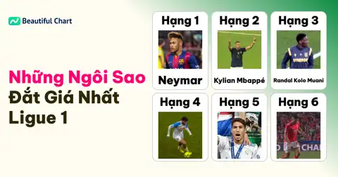 Bài viết tiếp theo