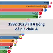 Bài viết tiếp theo