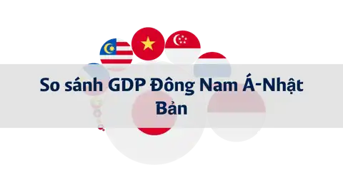 Bài viết tiếp theo