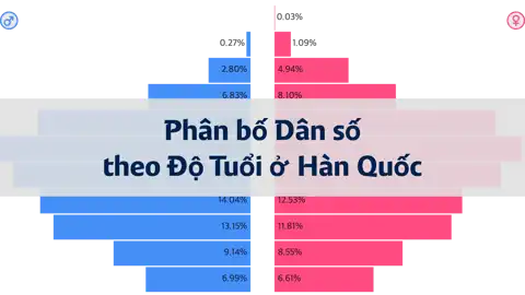 Bài viết tiếp theo