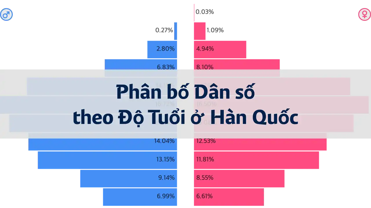 Phân bố Dân số theo Độ Tuổi ở Hàn Quốc từ năm 1950 đến 2023