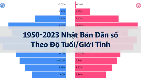 Bài viết trước
