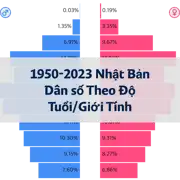 Bài viết tiếp theo