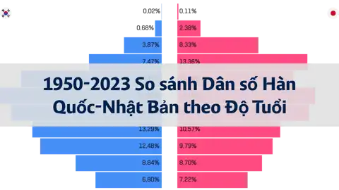 Bài viết tiếp theo