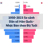 Bài viết trước