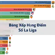 Bài viết trước