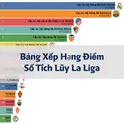 Bài viết tiếp theo