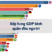 Bài viết trước