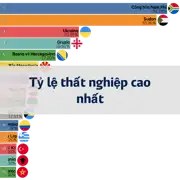 Bài viết tiếp theo