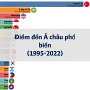 Bài viết tiếp theo